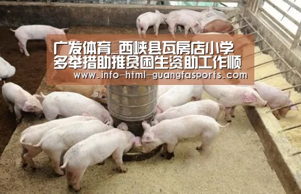 广发体育官网